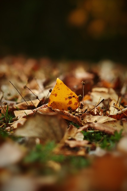 效力的十年 效力的十年