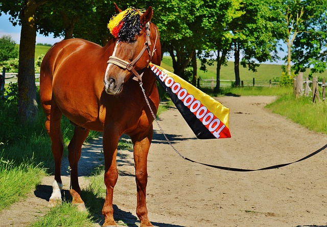 学校为运动 学校为运动