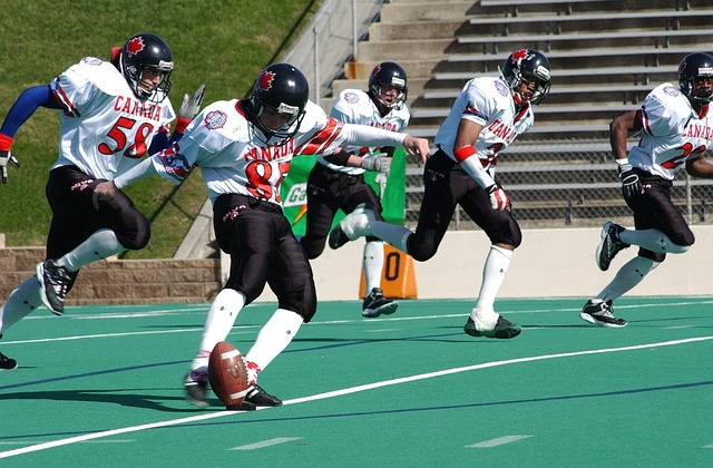 了丰富的历 了丰富的历