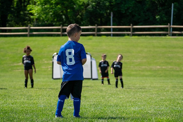 積極參與球 積極參與球