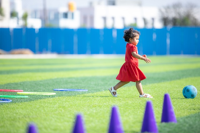 灰熊的选择 灰熊的选择